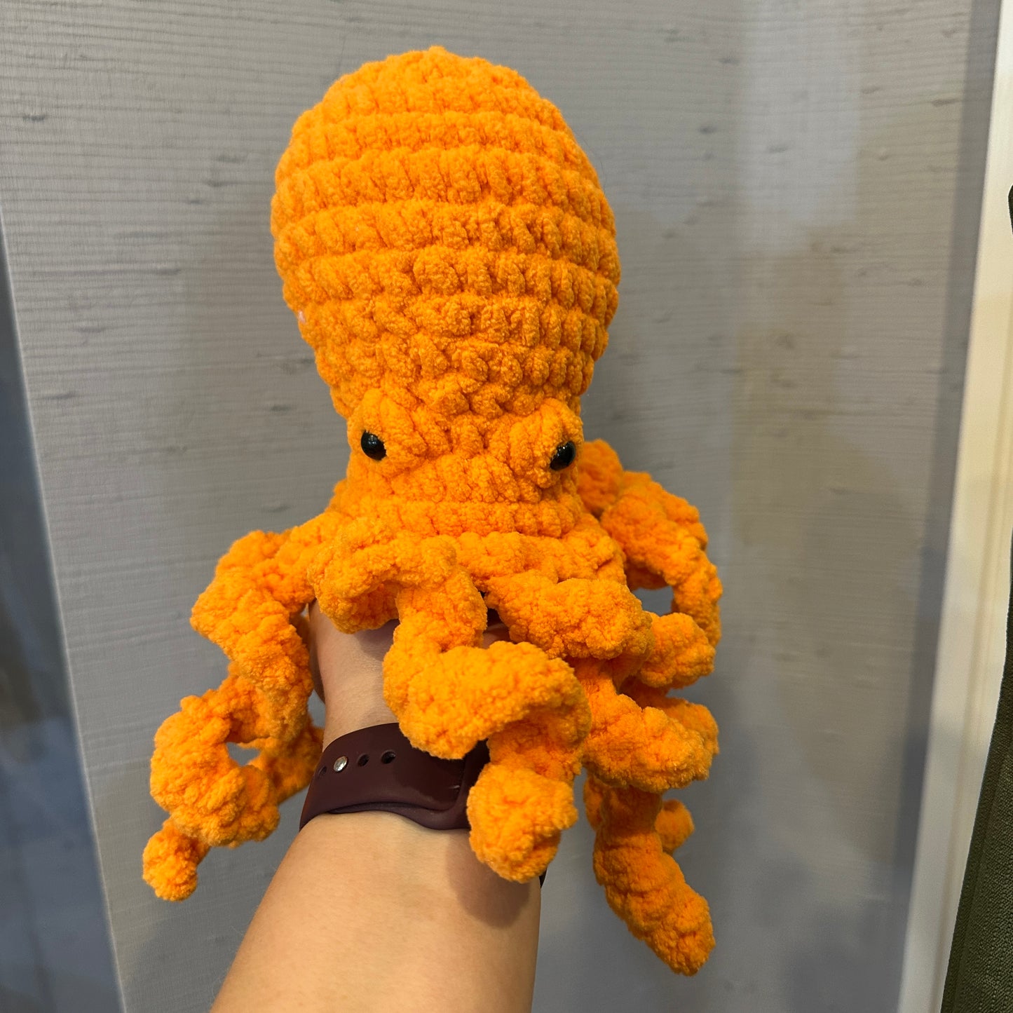 Mango the Octopus!