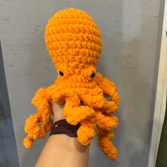 Mango the Octopus!