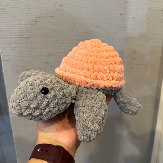 Shelly the Sea Turtle!