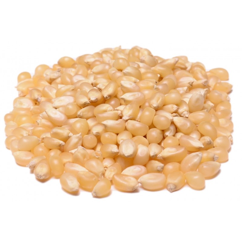 Popcorn Kernels