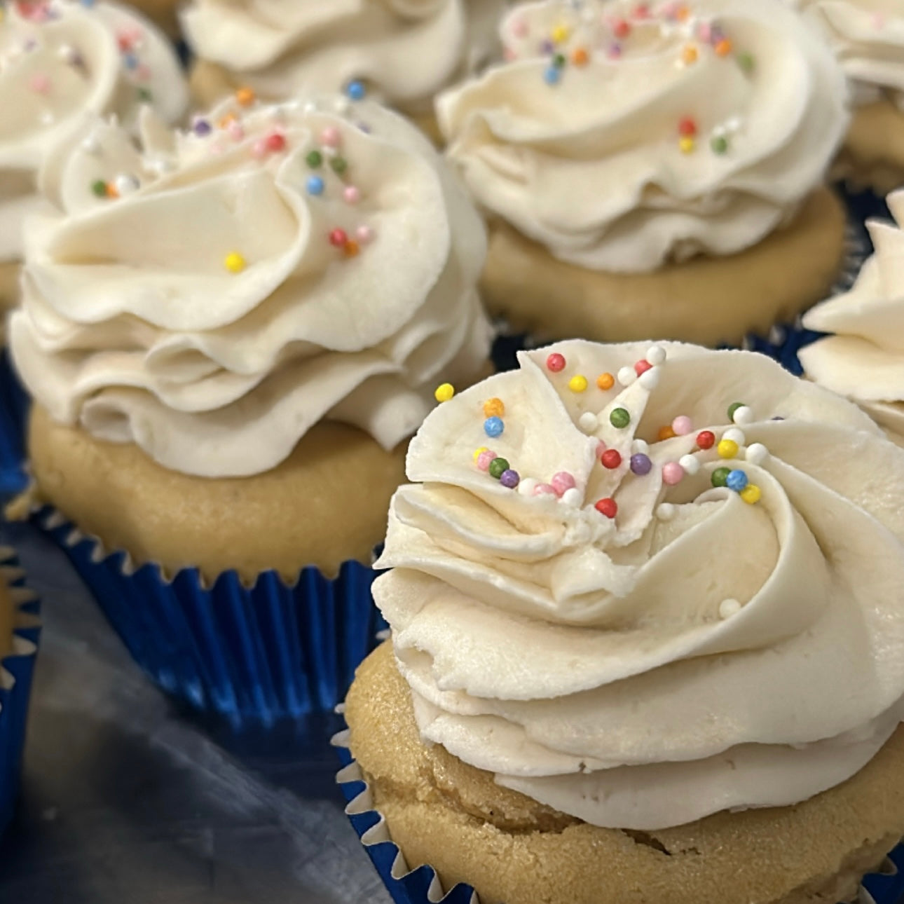 Vanilla Cupcakes (6-Pack)