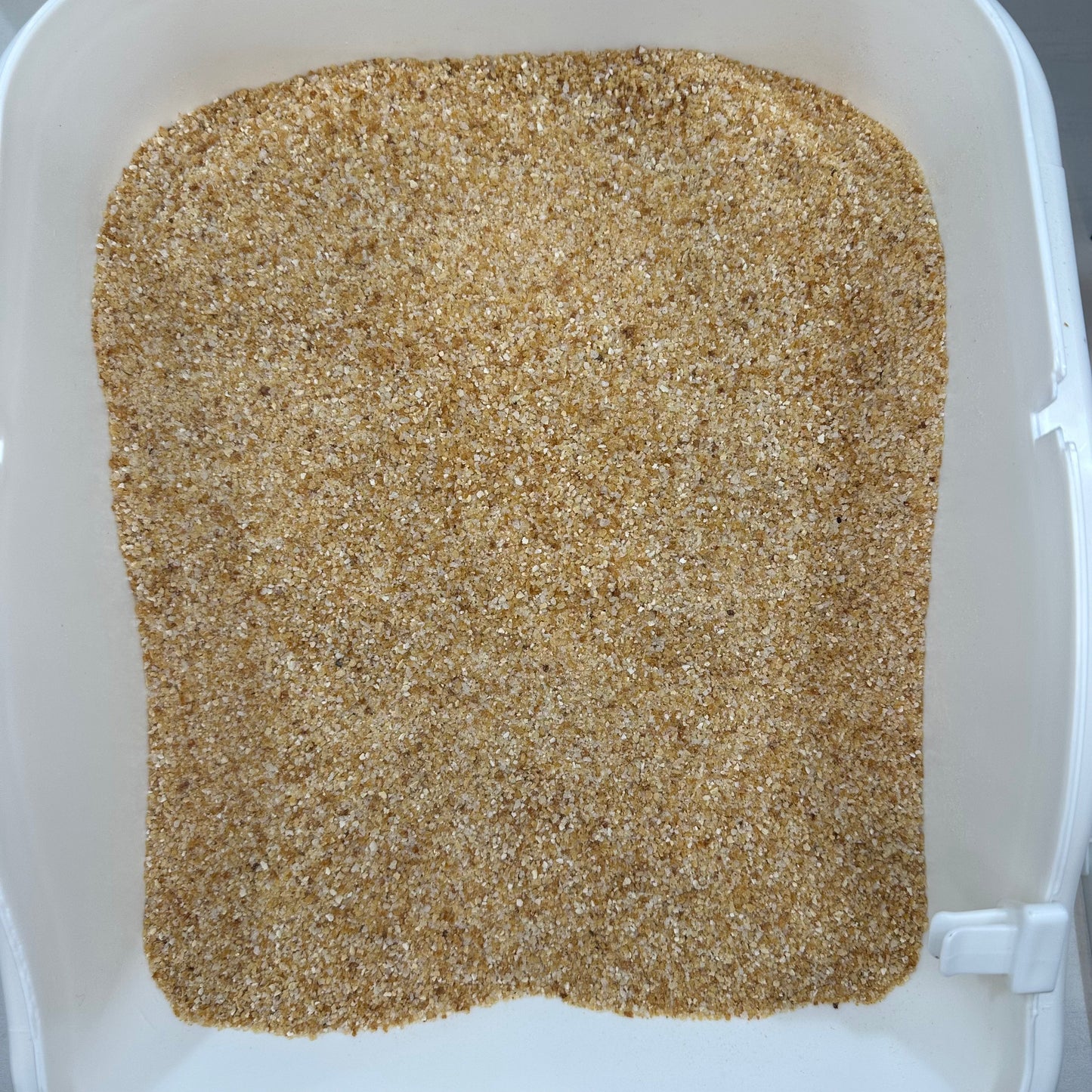 Gluten Free Bread Crumbs