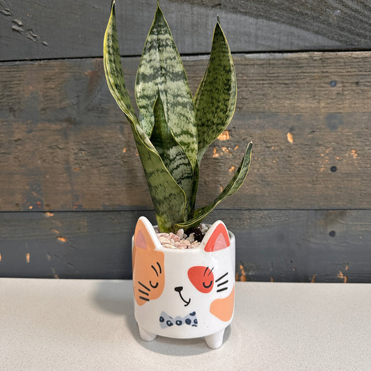 Cat Planter with Succulent
