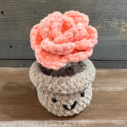 Crochet Flowers