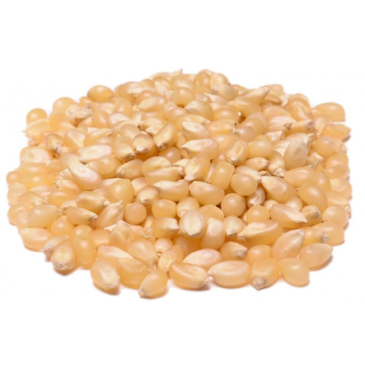 Popcorn Kernels